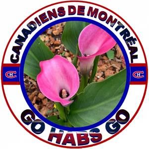 Meet your Posher, Lynn